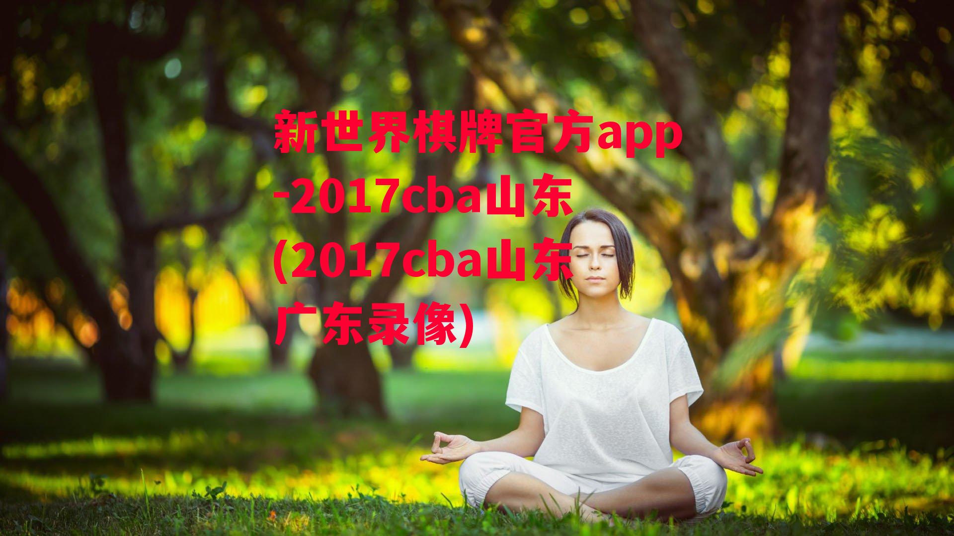 2017cba山东(2017cba山东广东录像)