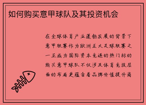 如何购买意甲球队及其投资机会